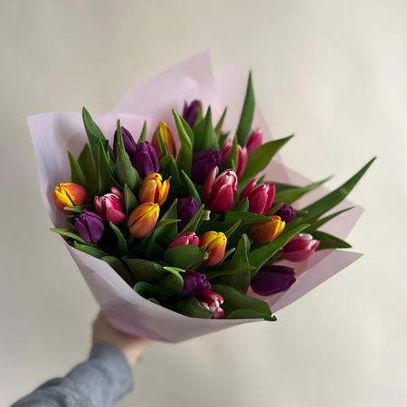 Букет из 25 разноцветных тюльпанов